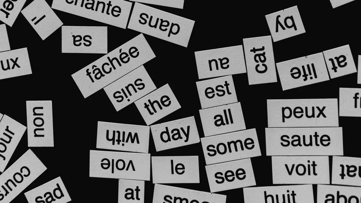 Vocabulaire TCF Canada — illustration